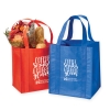 Non-Woven Tote Bag w/ Reinforced Handles