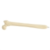 Femur Bone Pens