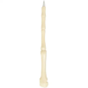 Picture of Finger Bone Pens