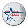 Picture of 3" Round Softball Car Magnets