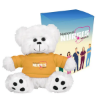 Picture of 6" Big Paw Bear With Custom Box