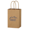 Picture of Kraft Paper Brown Shopping Bag - 5-1/4" x 8-1/4"