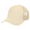 Picture of Cotton Twill Mesh Back Cap